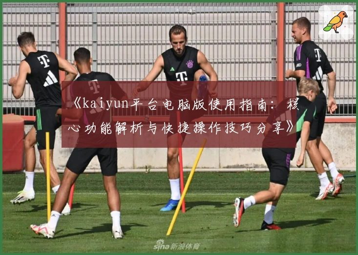 《kaiyun平台电脑版使用指南：核心功能解析与快捷操作技巧分享》