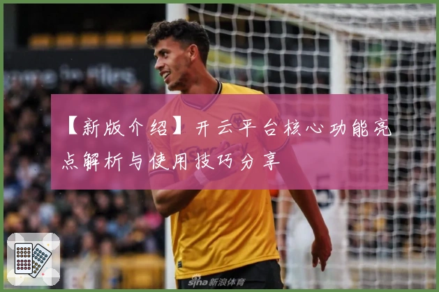 【新版介绍】开云平台核心功能亮点解析与使用技巧分享