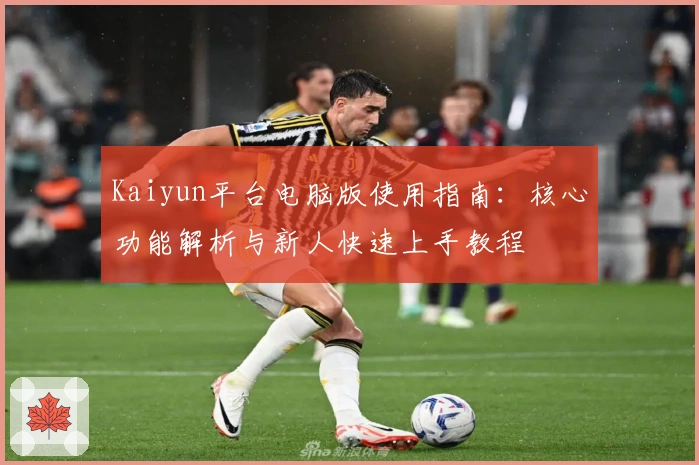Kaiyun平台电脑版使用指南：核心功能解析与新人快速上手教程